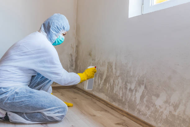 Mold inspector in Kenilworth performing thermal imaging